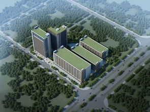 沙田實(shí)業(yè)投資管理項(xiàng)目領(lǐng)銜，總投資390.6億元助力區(qū)域經(jīng)濟(jì)騰飛