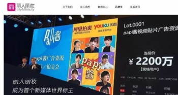 電商風云錄 2016爆發式增長背后的經營智慧與資本力量