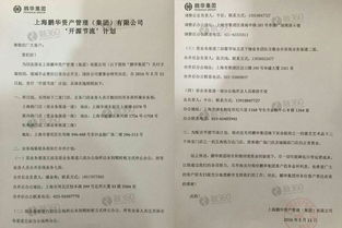 上海鵬華資產公布兌付方案 將關閉三家實業門店 實業投資管理